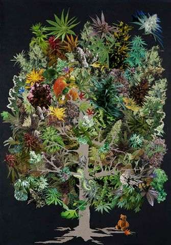 He o�do... que una planta tiene dividido al mundo. Obra Expuesta en 