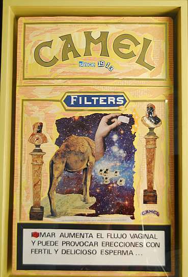 Como nunca he entendido porqu� le llaman Camello cuando es un Dromedario, aqu� tienen su Camello.