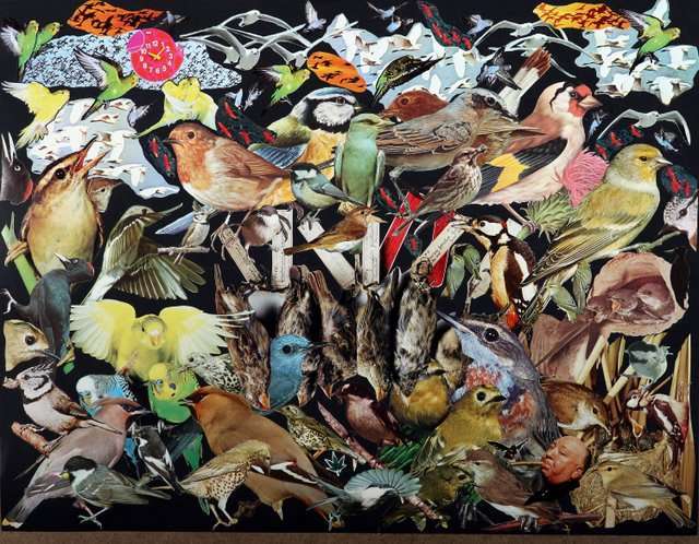 Un modesto Tributo al gr�nde de 