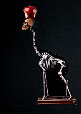 He o�do...que se Comi� la Manzana en vez de Comerse a EVA...