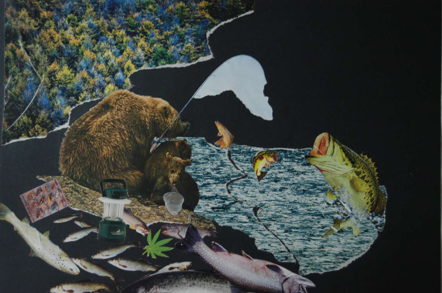 -He visto...a un Oso pescar Salmones