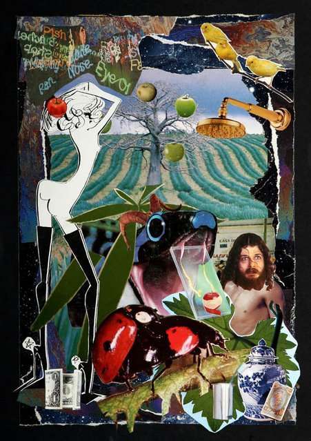 He o�do...que estaban en La Gloria h�sta q EVA descubri� un Manzano