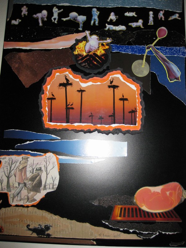 He o�do...que el 80%  de las cigue�as est�n en el INEM