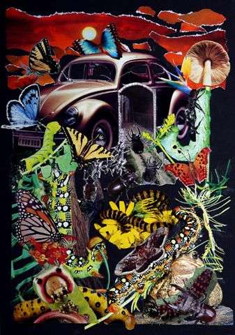 He o�do... que muchas veces se vuelve a la casa paterna. 